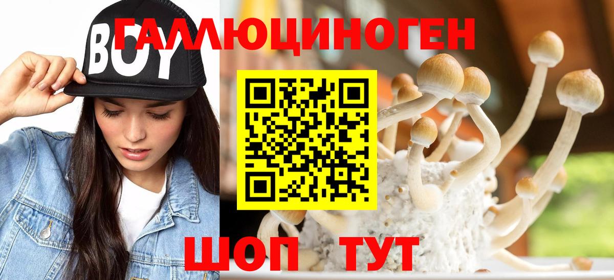 Грязи  Галлюциногенные грибы мицелий  Вход с VPN 